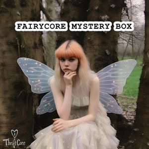 Fairycore Thrifted Vintage Mystery Box - Y2K Fashion Style Bundle - Whimsical Fairy Clothing Gift Box - Pinterest Styling Surprise Outfit