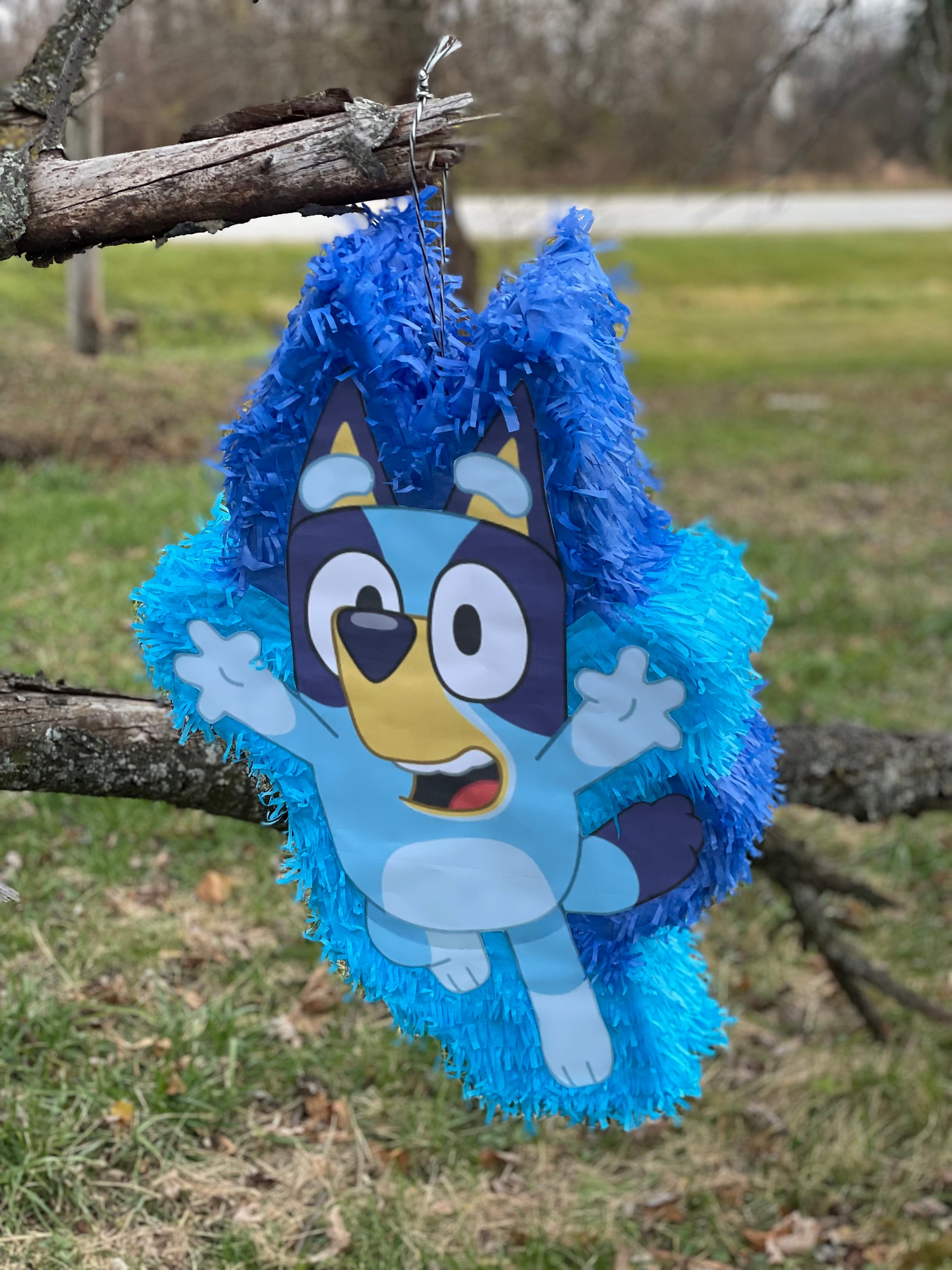 Bluey Pinata! 27”x16”x4”