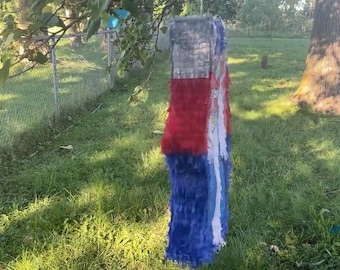 May include: A rectangular piñata hanging from a tree branch, featuring a vertical color block design of gray at the top, followed by a red section, a white stripe, and a blue base, all covered in layered paper fringe texture.