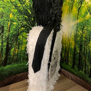 Don Julio Pinata! 27” x 16” x 4”