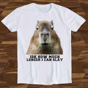 Idk How Much Longer Opossum I Can Slay Capybara Sarcastic Dank Joke Parody Hilarious Movie Meme Funny Gift Tee T-Shirt T1066