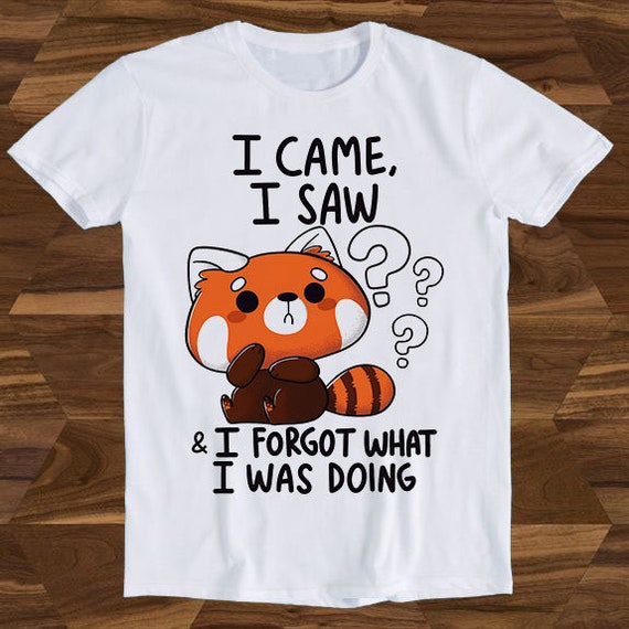 I Came I Saw I Forgot What I Was Doing T-Shirt Great Gift I Came I Saw I Forgot What I Was Doing T-Shirt Great Gift