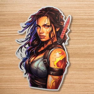 tomb raider sticker-water bottle-notepad-laptop
