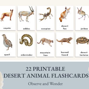 Tarjetas didácticas de animales del desierto / Descarga instantánea / Estudio de la naturaleza / Aprende sobre animales / Imprimible para educación en casa / Tarjeta de aprendizaje de Charlotte Mason en tres partes