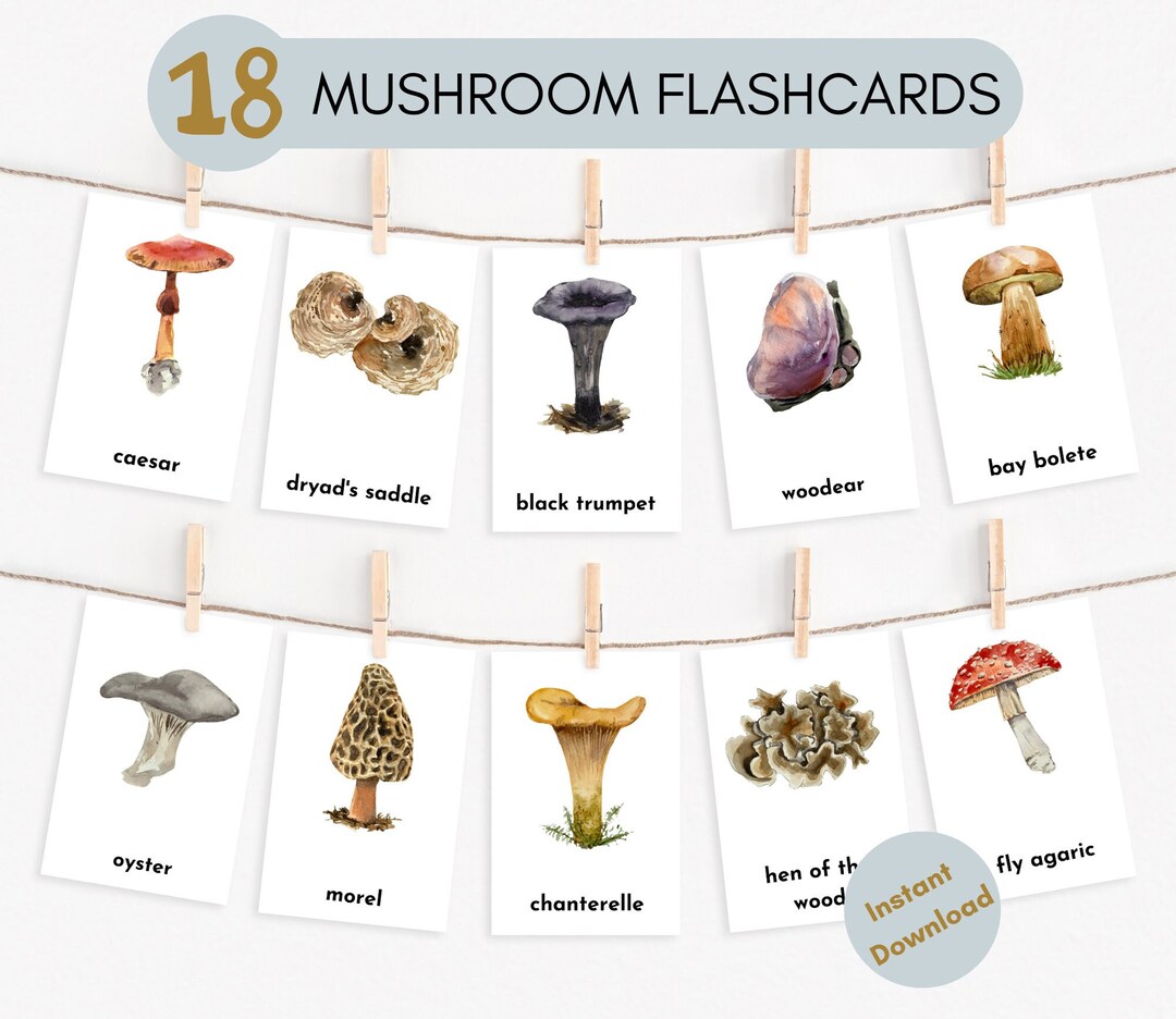 Mushroom Flashcards Instant Download Fungi Cards - Etsy