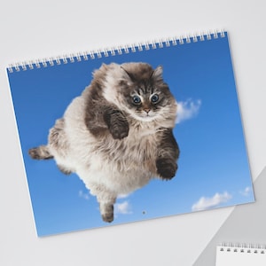 Funny Cat wall Calendar for cat lover, monthly cat calendar gift for cat mom, yearly calendar, Cat Lover Gift, 2025 wall cat calendar gift