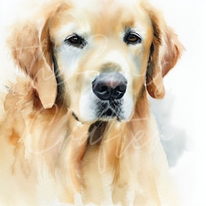 Watercolor Pet Portraits and Nature Prints - Golden Retriever