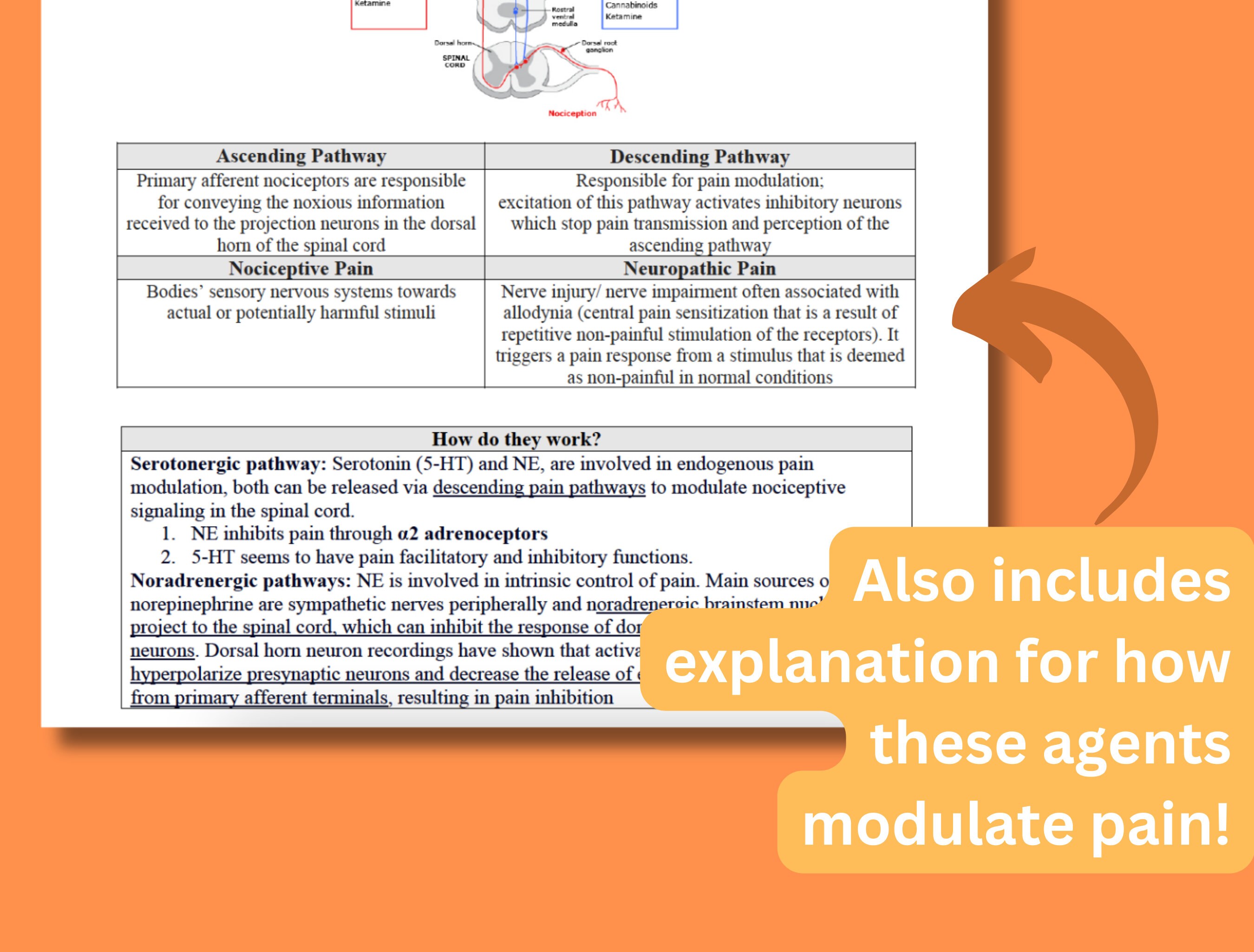Ssri Worksheet Snris Tcas Ssris for Chronic Pain Notes Topic Discussion - Etsy