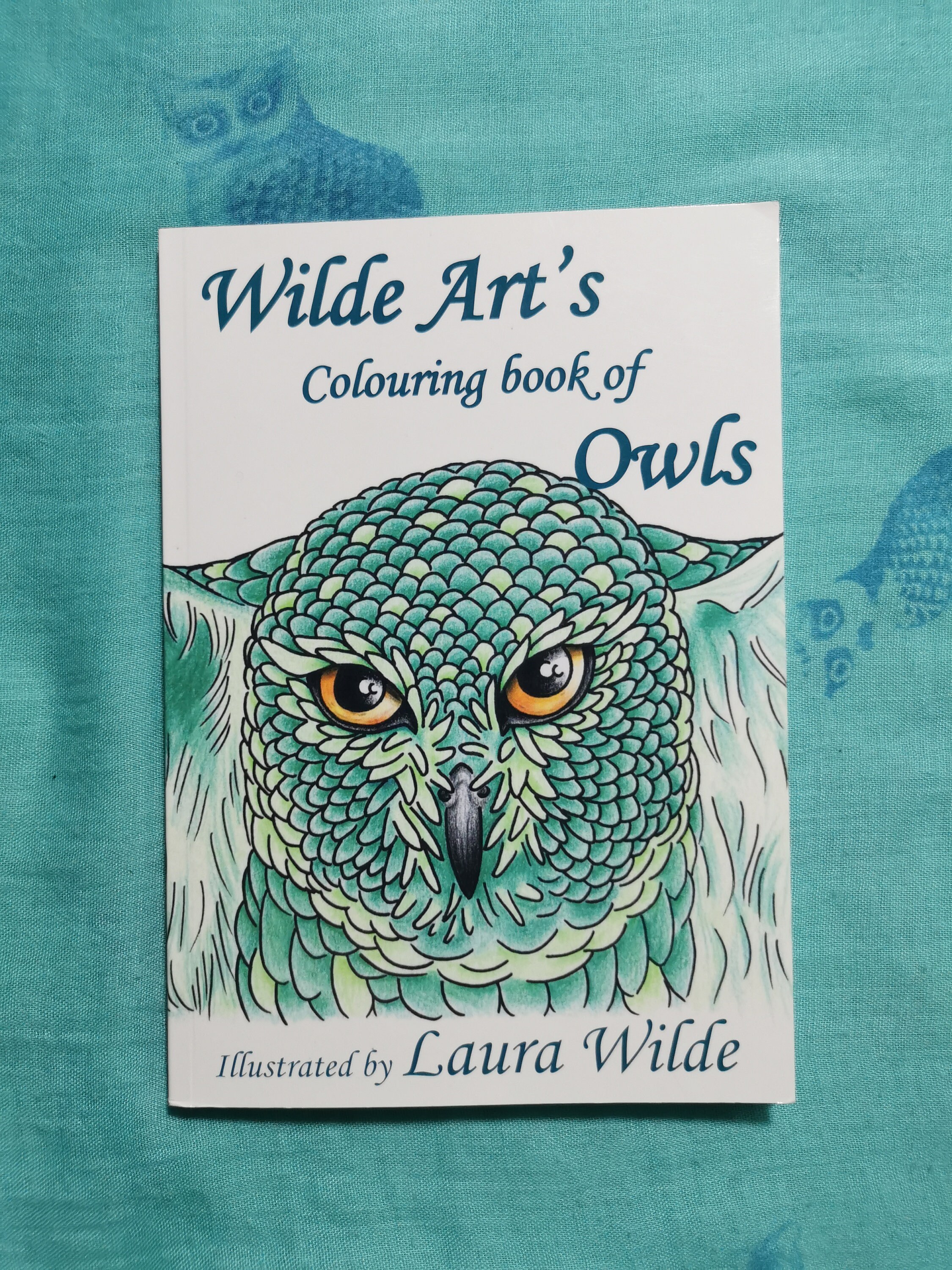 Owl colouring book