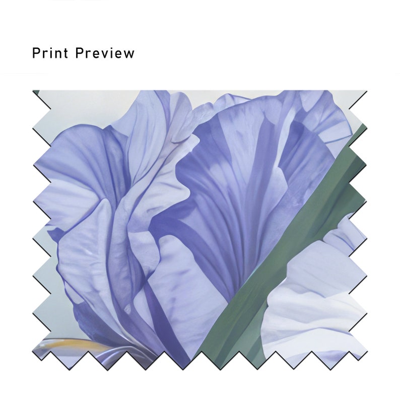 May include: A close-up of a purple iris flower with a green stem. The petals are soft and delicate, with a light blue hue.