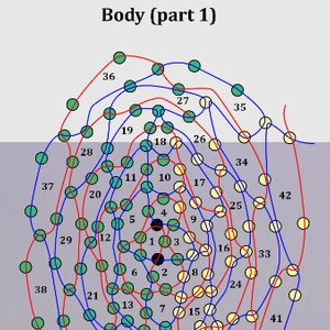 May include: A diagram showing a circular pattern of numbered circles, with some circles filled in with black, some with yellow, and some with green. The circles are connected by red and blue lines.