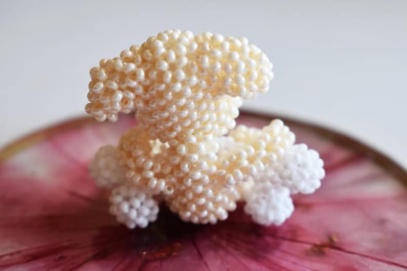 May include: A white and cream beaded sculpture of a stylized flower, sitting on a pink and white surface.