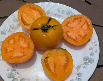 Amish Gold Slicer Heirloom Tomato 30+ seeds