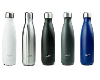 Stainless Steel Bottle 17 Fl Oz