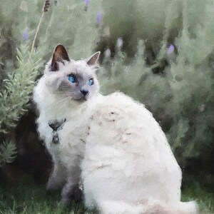 Custom Pet Portrait Painting Cat Portrait from Photo Pet Portrait from Photo Cat Canvas Print Cat Lover Gift Siamese Cat Gift Cat Owner Gift