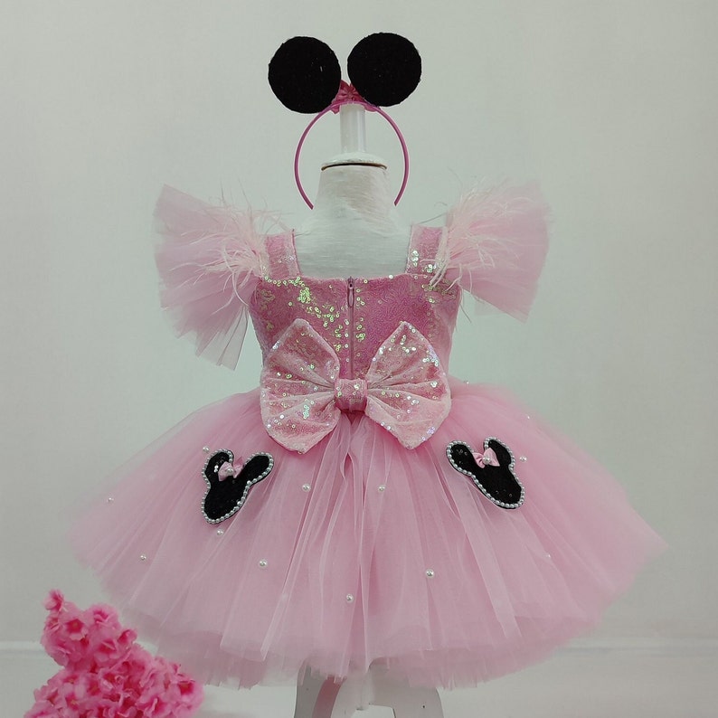 little mouse dress,disney pageant dress,pink dress,birthday dress,first birthday dress,party dress,dance dress,photo shoot dress, image 6