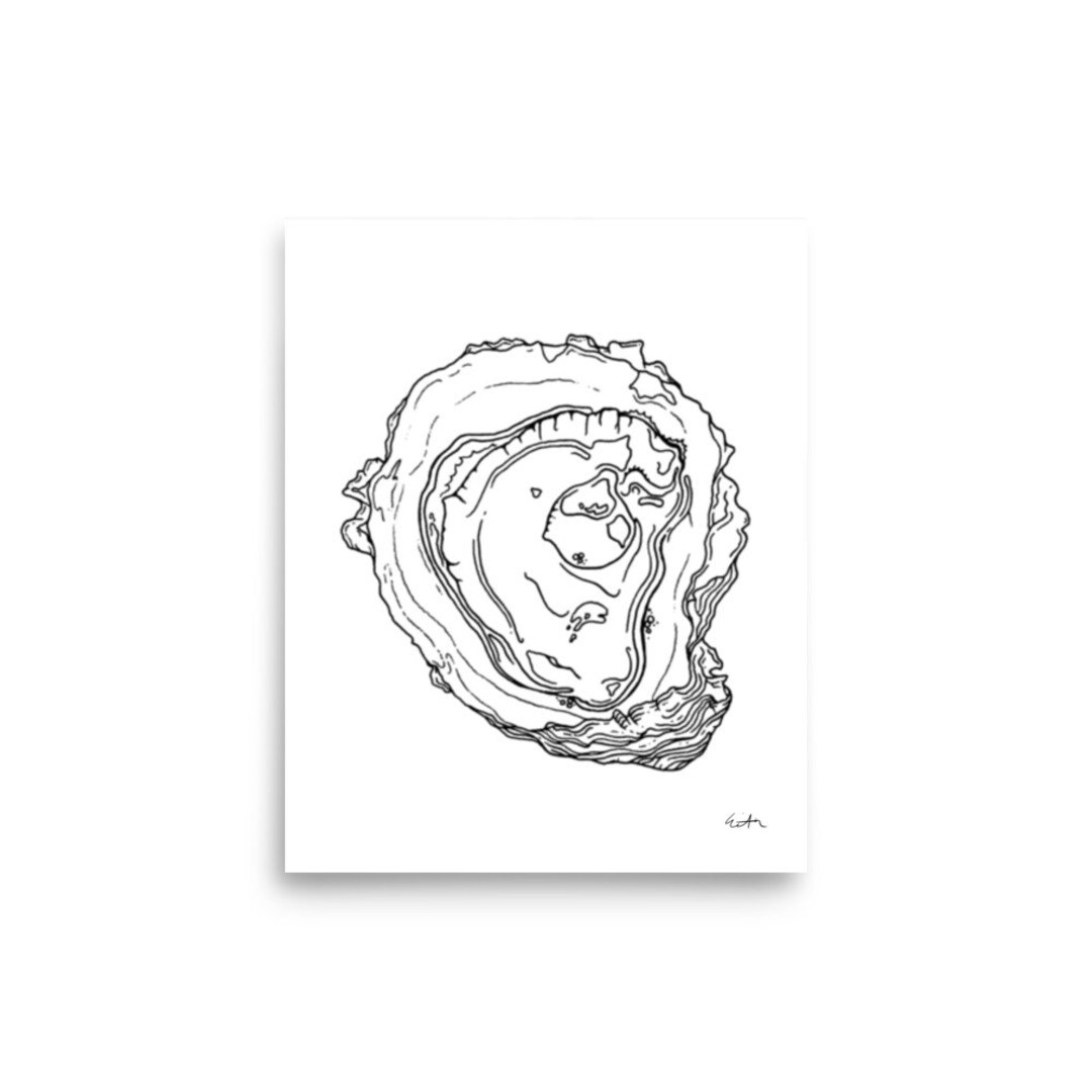 Oyster Print, Original Art, Line Drawing, Oyster Art, Hand Drawn