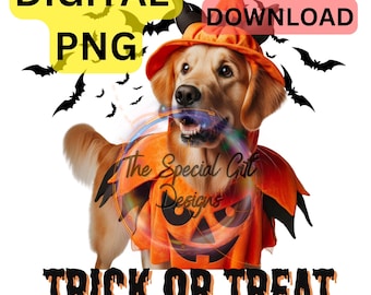 Halloween Hund Golden Retriever Hund in Halloween Brauch Echter Hund png 3d Halloween PNG Trick or Treat Png Süßer Hund Png Spooky Vibes Png