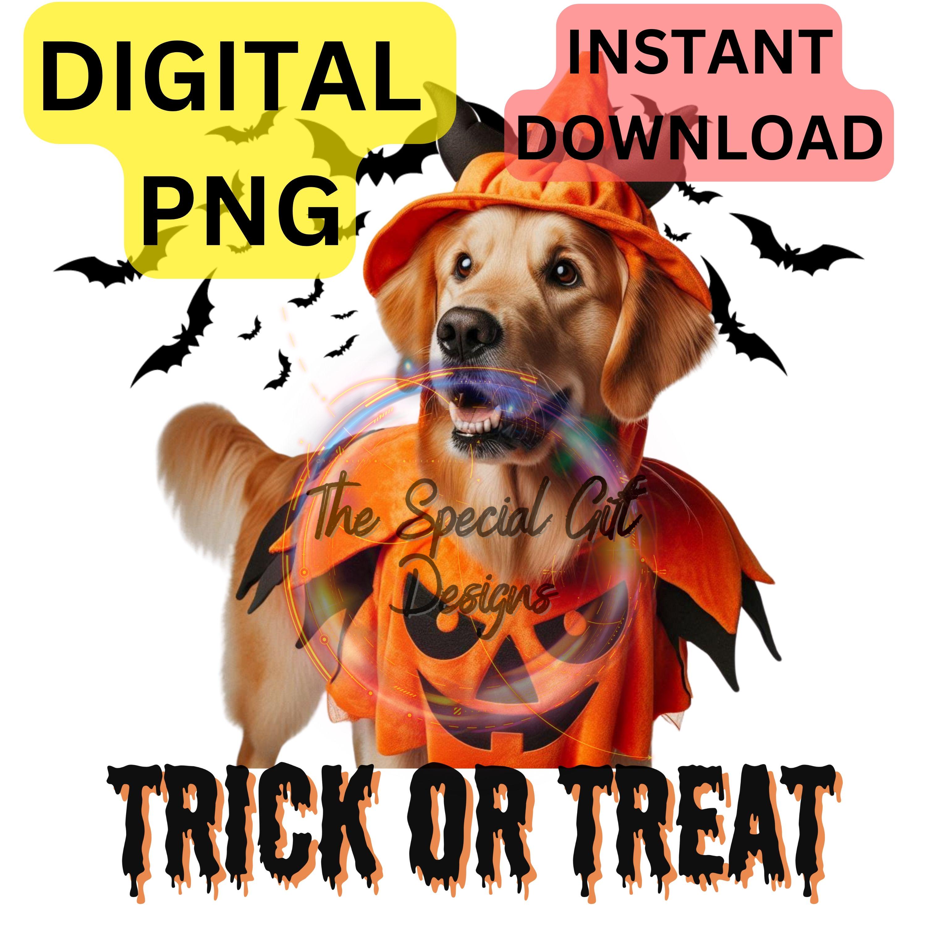 Halloween Dog Png Golden Retriever Dog in Halloween Custom Real Dog Png ...