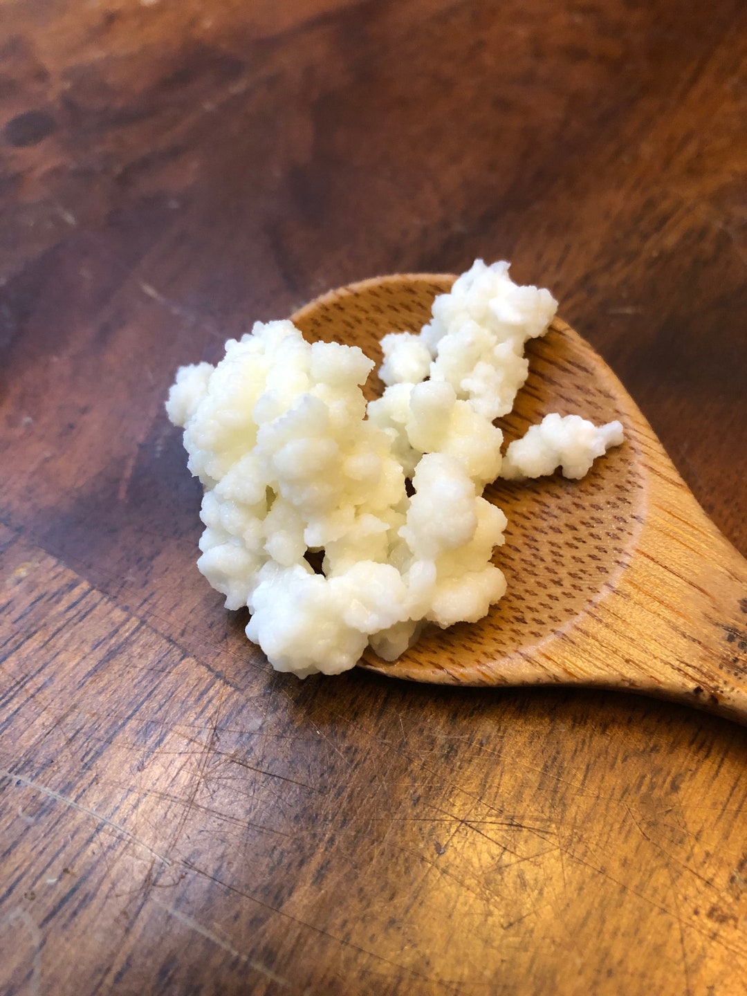 Live Raw Milk Kefir Grains Etsy