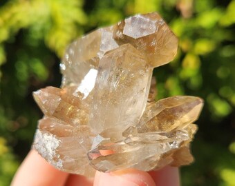 Smoky Quartz Cluster, Smoky Quartz Point, Raw Smoky Quartz, Crystal Cluster, Natural Smoky Quartz from Brazil, Raw Crystal Cluster, Gemstone