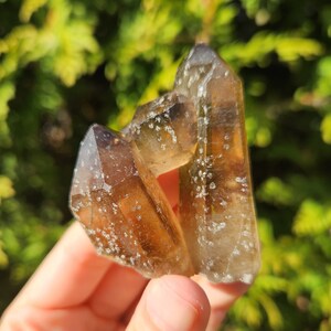 Smoky Quartz Cluster, Smoky Quartz Point, Raw Smoky Quartz, Crystal Cluster, Natural Smoky Quartz from Brazil, Raw Crystal Cluster, Gemstone