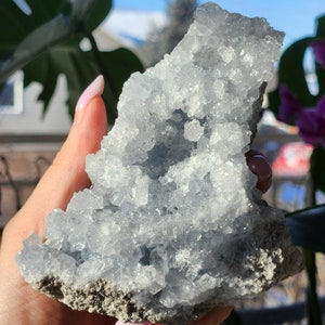 1.3 lb Celestite Crystal Cluster, Celestite Geode, Raw Celestite, Blue Crystal, Rocks and Minerals, Celestite, Crystal Display, Celestine