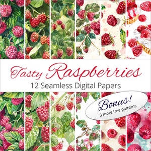 May include: Twelve digital papers featuring watercolor illustrations of raspberries. The papers are seamless and can be used for crafting, scrapbooking, and other creative projects. The text "Tasty Raspberries 12 Seamless Digital Papers" is displayed at the top of the image. A bonus of three more free patterns is also included.