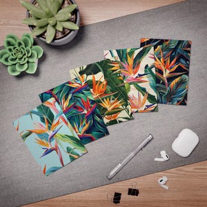Paquete de 5 tarjetas de felicitación en blanco con diseño de ave del paraíso, para cualquier ocasión, cumpleaños, agradecimiento, festividades, diseño moderno de plantas tropicales y jungla, decoración floral de Florida.