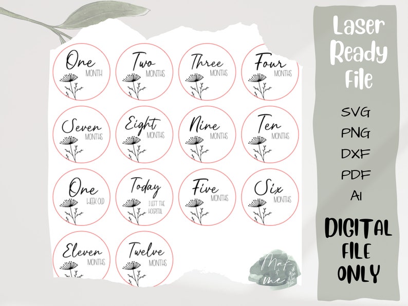 Laser Cut File | Native Milestone Discs | Digital Download | SVG File ...