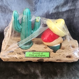 Cactus and Pepper Salt and Pepper Shaker Set
