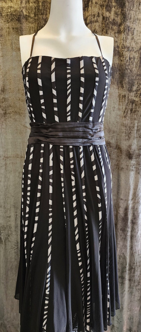 Rockabilly Zebra Print Mesh Dress