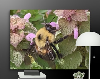 Canvas print of a bee at work