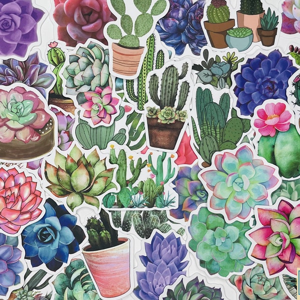 SUCCULENT plant Stickers, Cactus, 10-50Pcs, FREE Shipping, Flower Stickers, waterproof, sticker for hydroflask, car decal