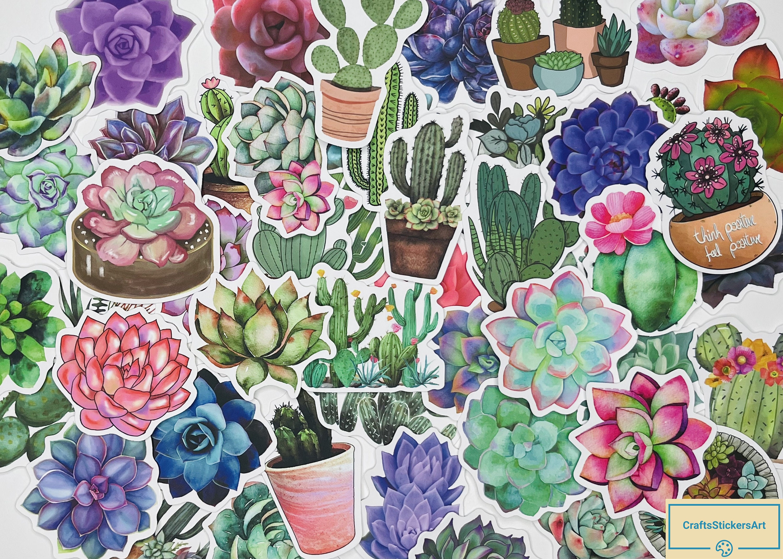 SUCCULENT plant Stickers, Cactus, 10-50Pcs, FREE Shipping, Flower Stickers,  waterproof, sticker for hydroflask, car decal