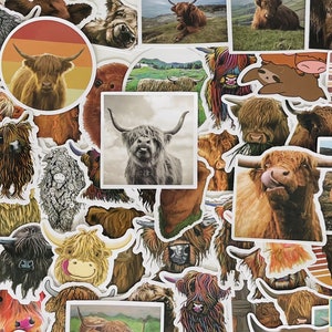 Highland Cow Stickers, Vinyl Stickers, 10-50 Pcs Random pack, FREE Shipping laptop stickers, Anime Sticker, waterproof, Hydro flask