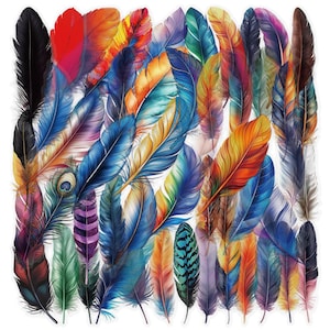 Feather Stickers Pack, Colorful Watercolor Bird Feather Vinyl Decals, Boho Nature Aesthetic for Journal, Scrapbook, Laptop, Planner Gift