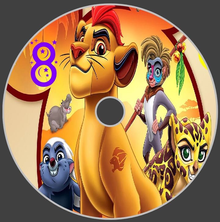 The Lion Guard Cartoon Series Complete Series Dvd - Etsy Israel