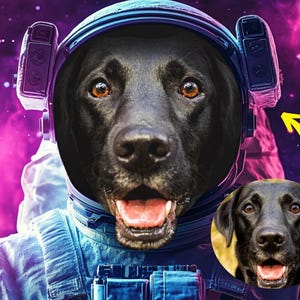Custom Astronaut Portrait of Your Pet – Out of This World Pet Art! | DIGITAL ONLY