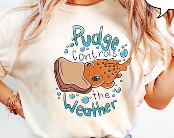 Comfort Colors® ディズニー リロ＆スティッチ パッチ Tシャツ、ディズニー パッチ コントロールズ ザ ウェザー Tシャツ、ディズニー サマー シャツ、ビーチ シャツ