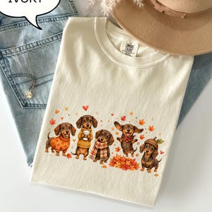 May include: An ivory t-shirt featuring a graphic print of five brown dachshunds in autumn-themed attire, including sweaters, scarves, and an acorn hat, surrounded by falling orange maple leaves and small red hearts, with the text IVORY in a speech bubble.