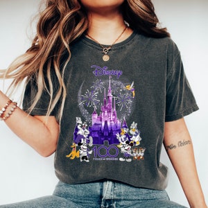 May include: A dark gray t-shirt with a purple and white graphic of the Disney castle, fireworks, and various Disney characters. The text "Disney" and "100 Years of Wonder" are also included in the graphic.