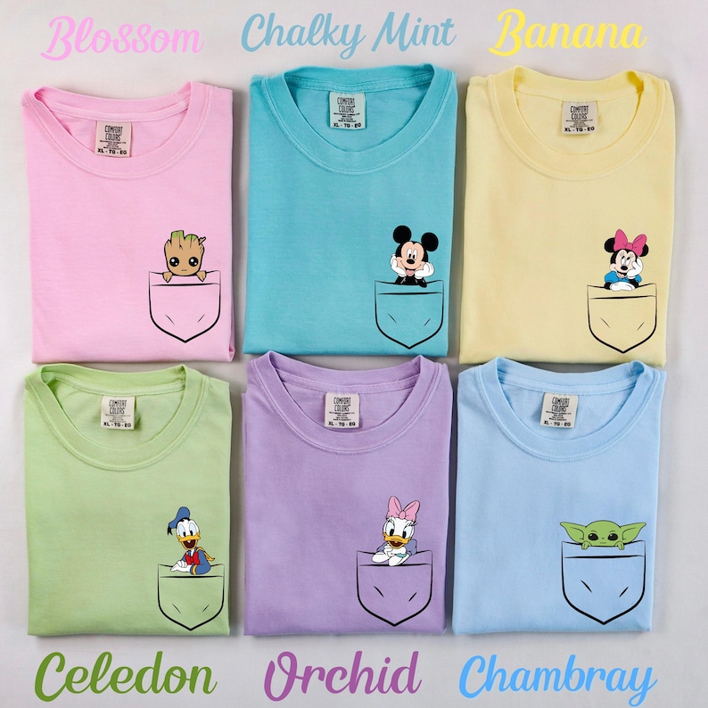 May include: Six different colored t-shirts with a pocket on the front. Each pocket has a different cartoon character in it. The colors are blossom, chalky mint, banana, celadon, orchid, and Chambray.