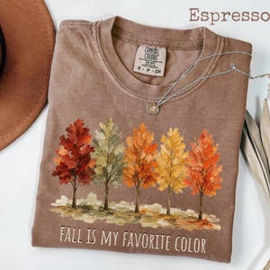 Puede incluir: Una camiseta de manga corta color espresso con un gráfico de cinco árboles con hojas de colores otoñales en rojo, verde, naranja y amarillo. El texto "FALL IS MY FAVORITE COLOR" está impreso en blanco debajo de los árboles. Un collar plateado descansa sobre la camiseta.