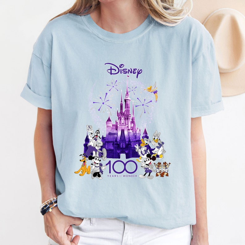 May include: A light blue t-shirt with a purple and white graphic of Cinderella's castle, fireworks, and Disney characters. The text "Disney 100 Years of Wonder" is printed below the graphic.