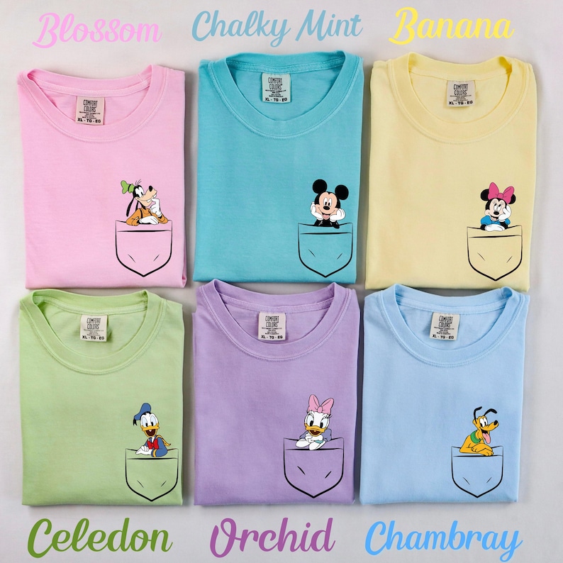 May include: Six different colored t-shirts with a pocket on the front. Each pocket has a different Disney character on it. The colors are blossom, chalky mint, banana, celadon, orchid, and Chambray.