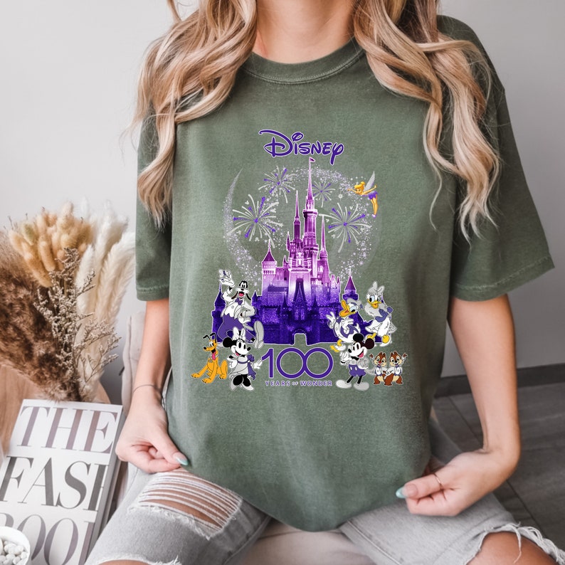 May include: A green t-shirt with a purple and white graphic of Cinderella's castle, fireworks, and various Disney characters. The text "Disney 100 Years of Wonder" is printed on the shirt.