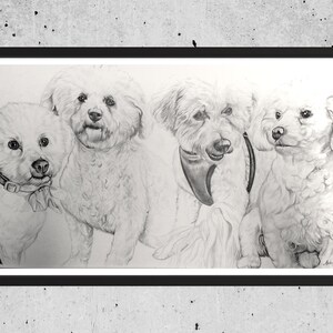 Pet Sketch of 3 pets from photo - pet pencil sketch - pet portrait commission - dog drawing - cat drawing - pet memorial- pet illustration