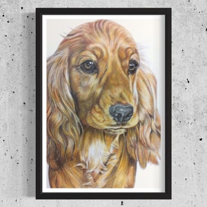 Pet Sketch of one - pet portrait - pet pencil sketch - pet portrait commission - dog drawing - cat drawing - pet memorial - pet illustration