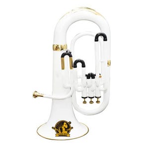 SOUND SAGA® Euphonium 3 Valve Bb Pitch Including Mouthpiece and Carry Case.